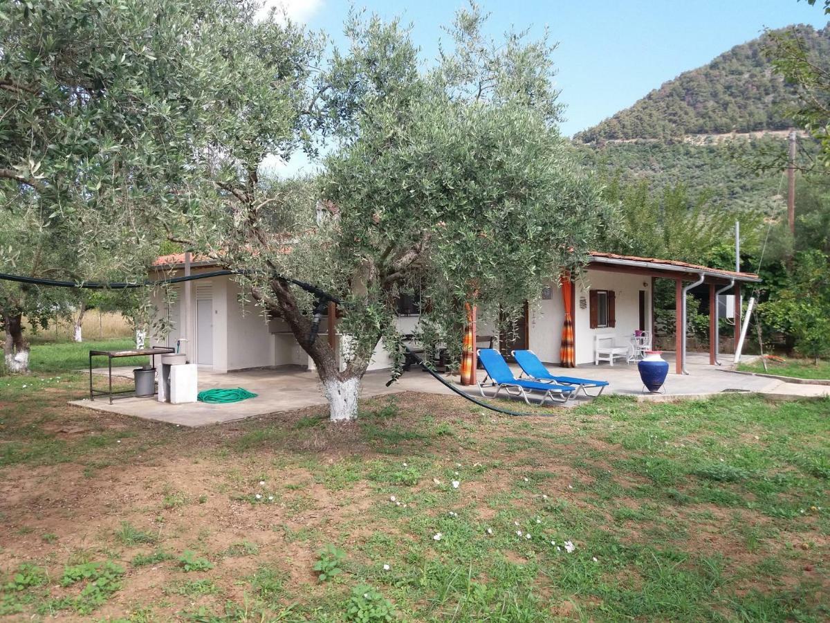 Olive Summer House Chrysi Ammoudia Ngoại thất bức ảnh